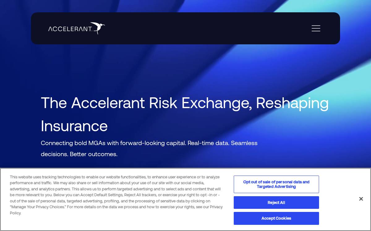 Accelerant website preview