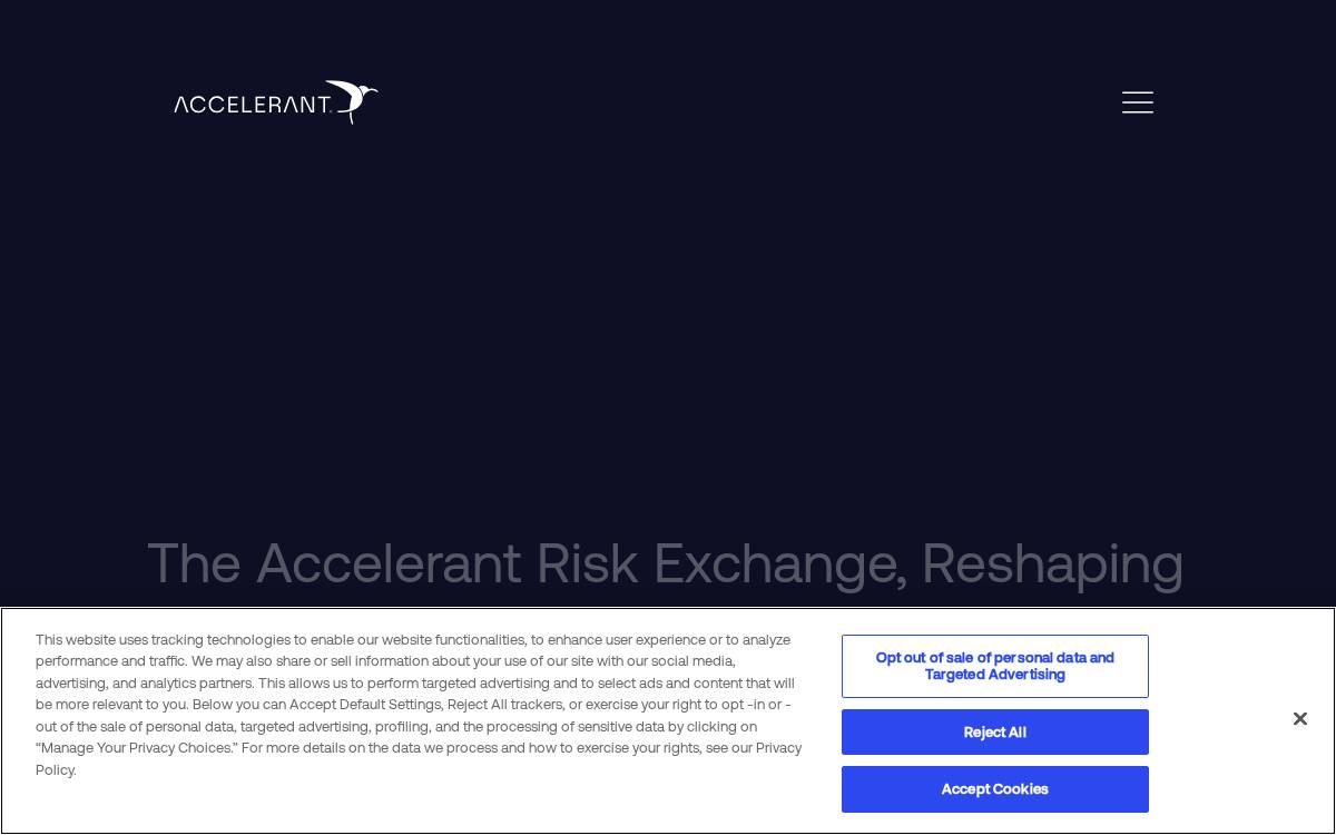 Accelerant website preview