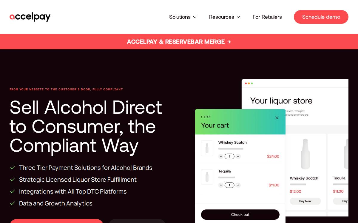 Accelpay website preview