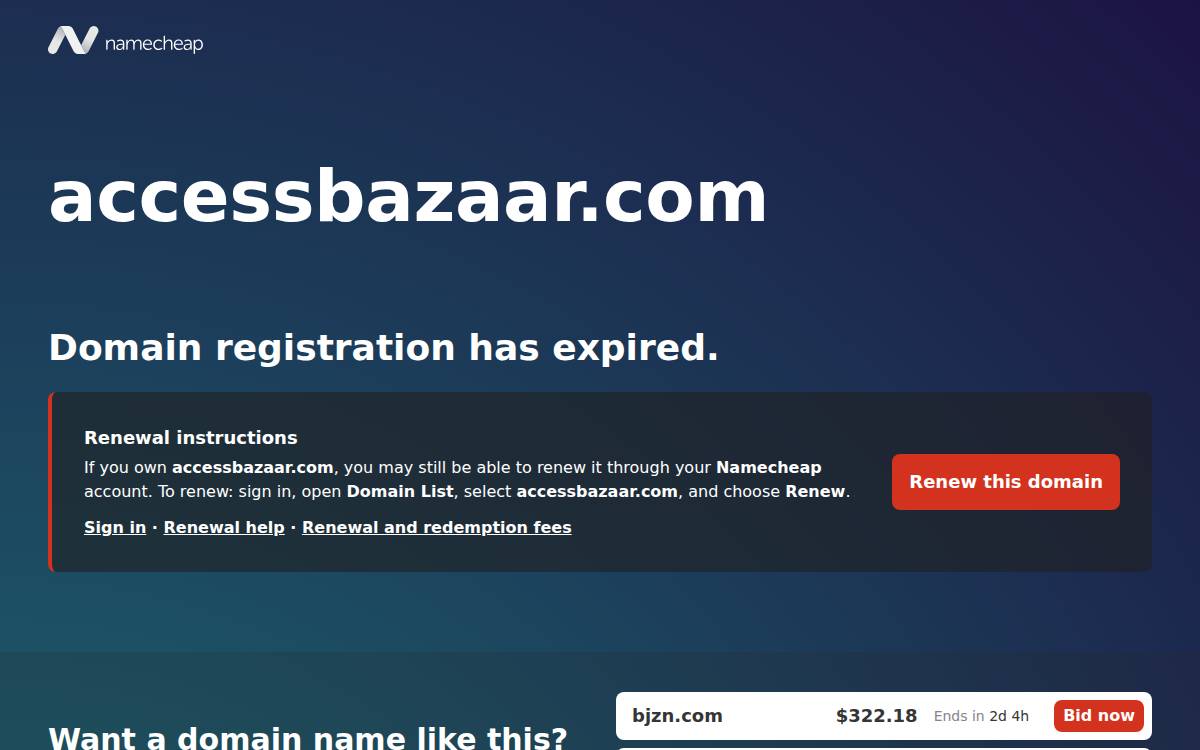 Access Bazaar website preview