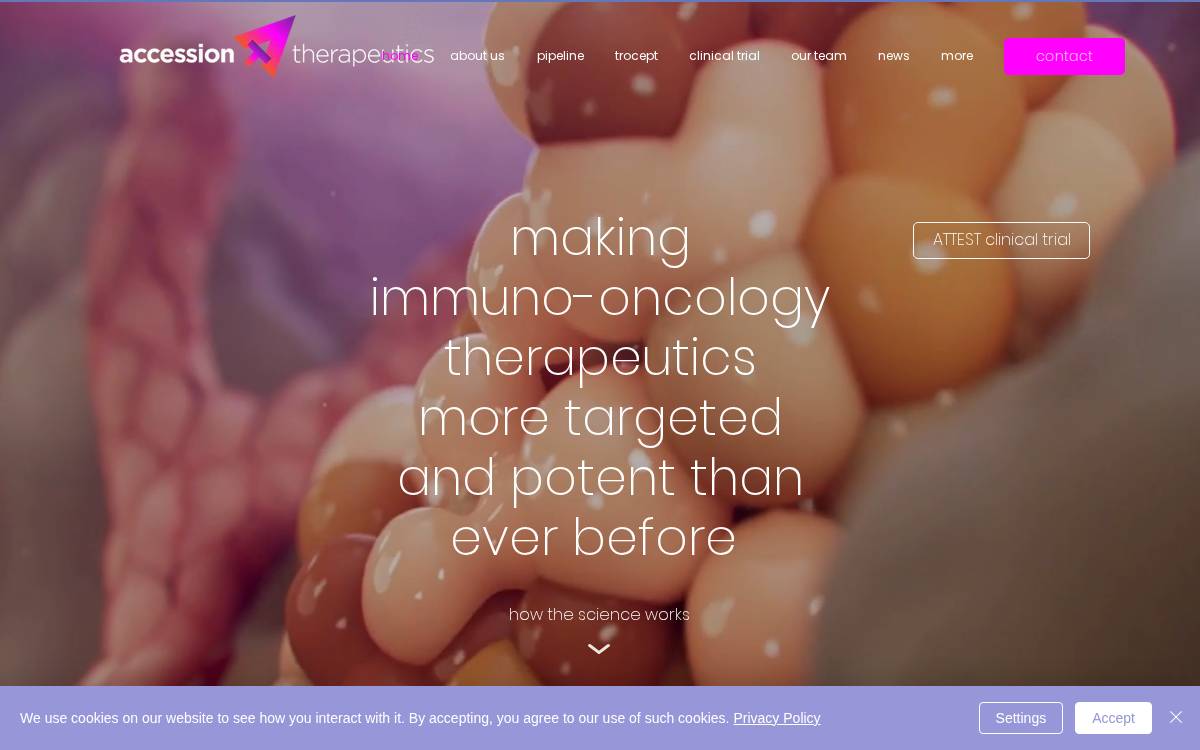 Accession Therapeutics website preview