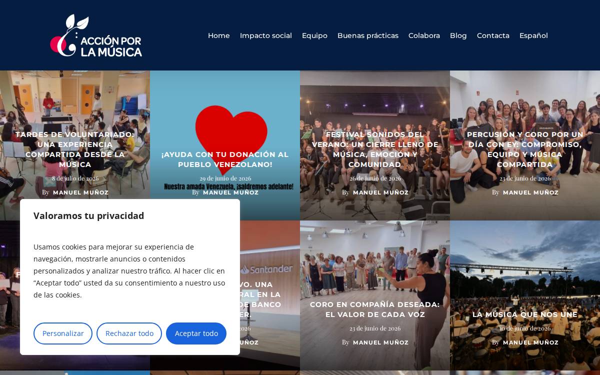 Acción Social por la Música website preview