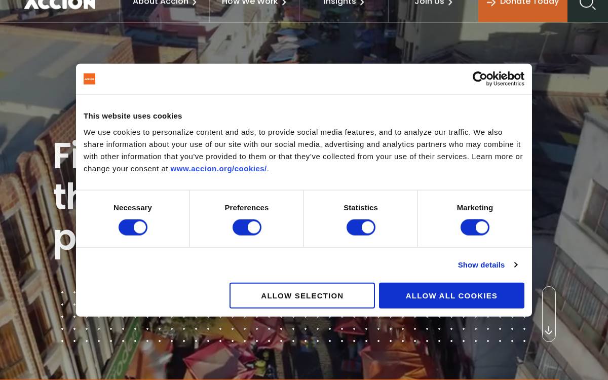 Accion website preview