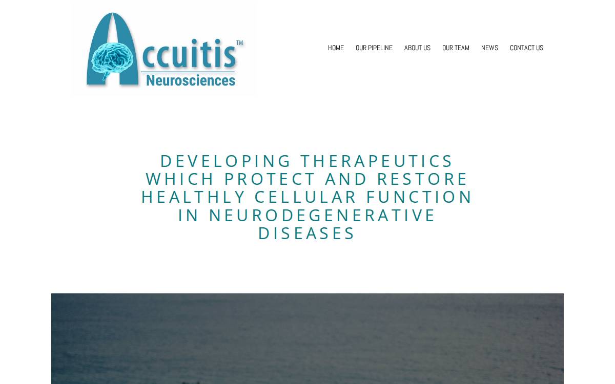 Accuitis website website preview