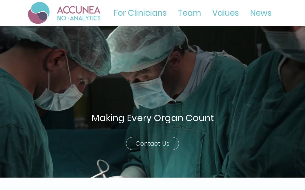 Accunea website preview