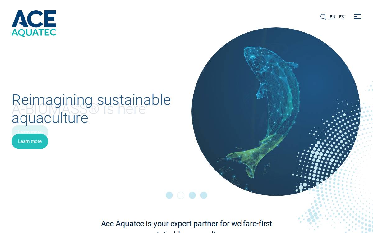 ACE Aquatec website preview