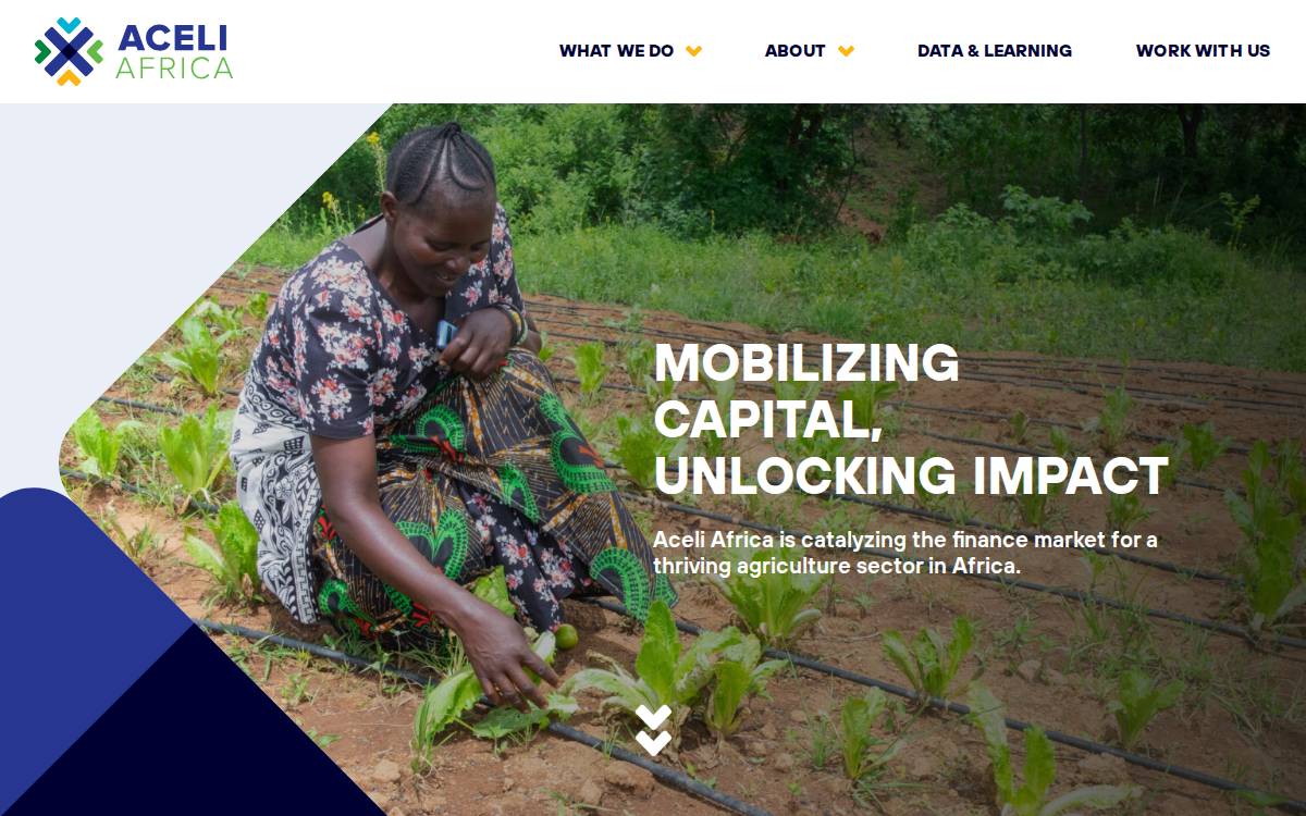 Aceli Africa website preview