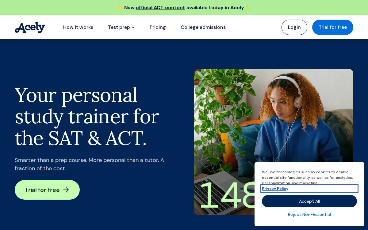 Acely website preview