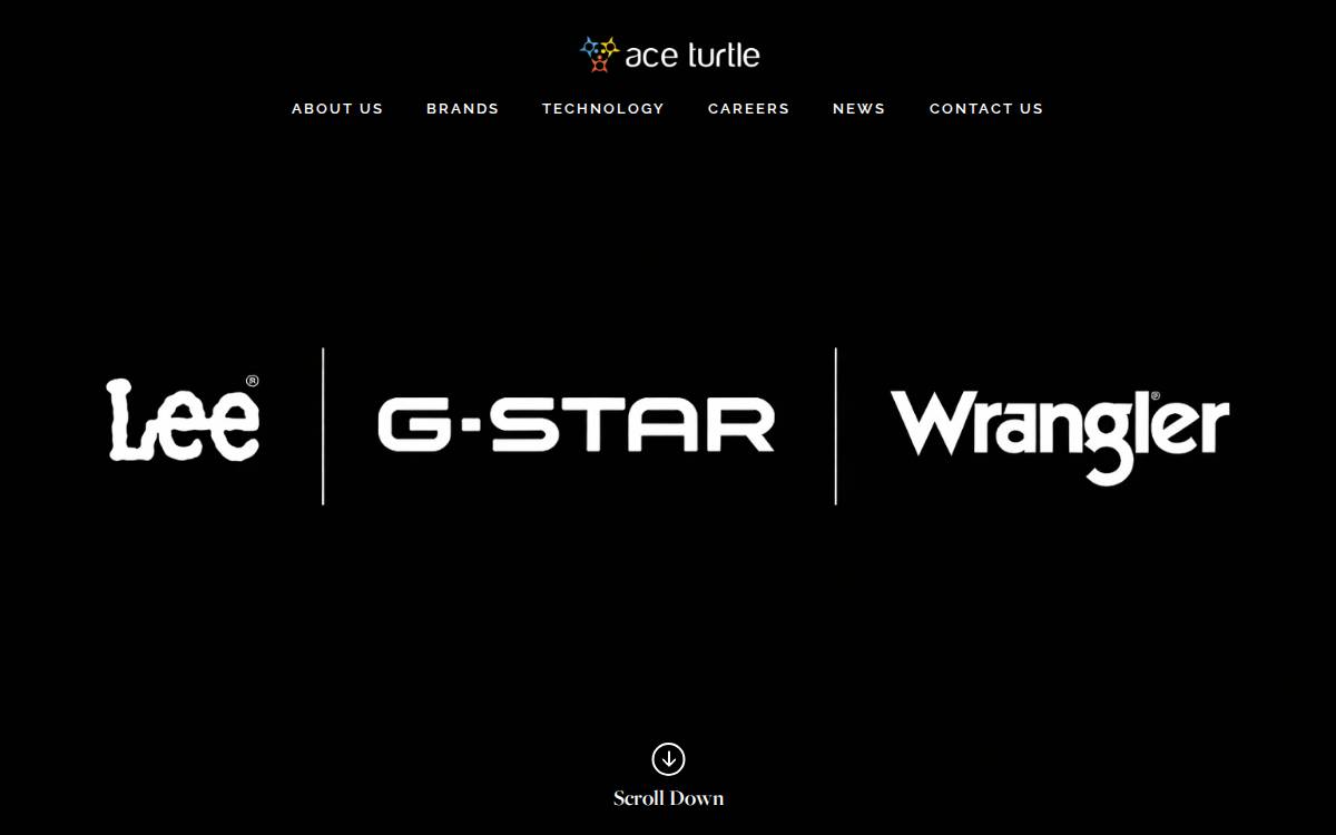 Ace Turtle website preview