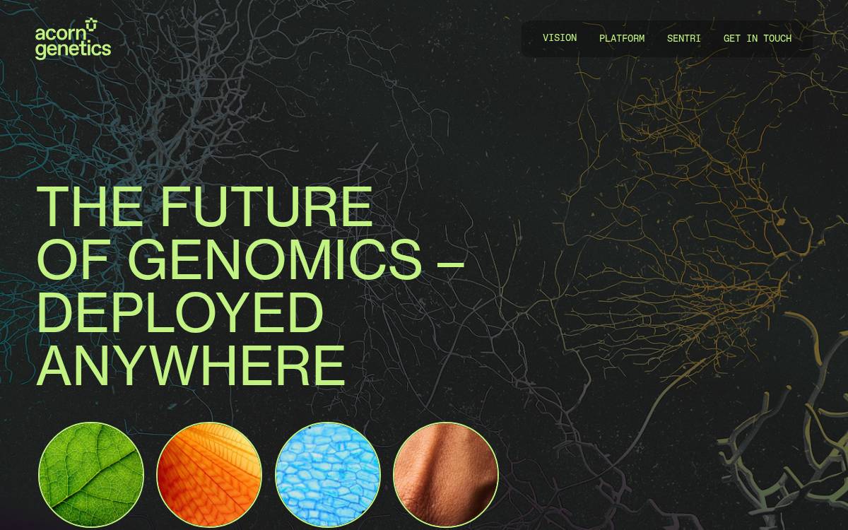 Acorngenetics website preview