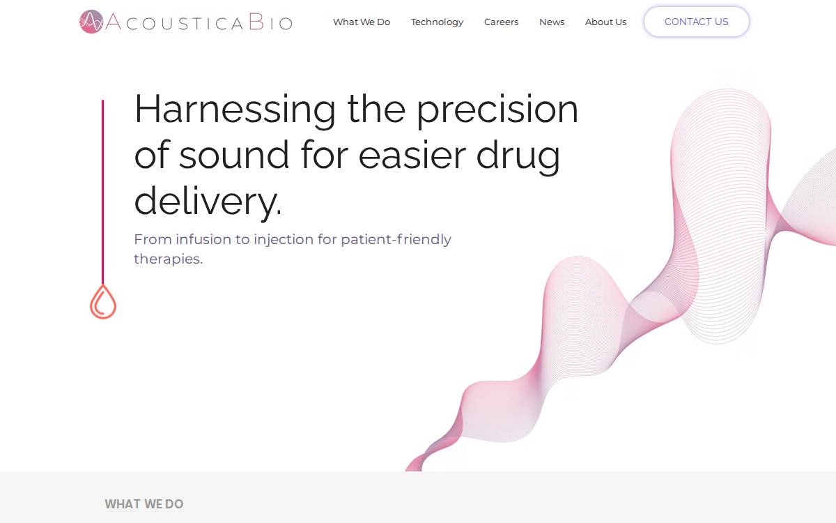 AcousticaBio website preview