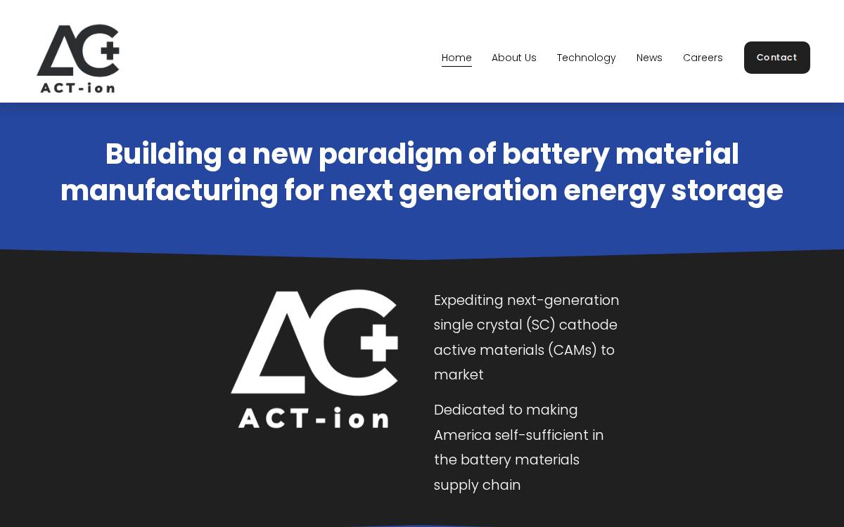 Act Ion website preview