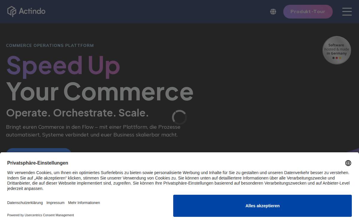 Actindo website preview