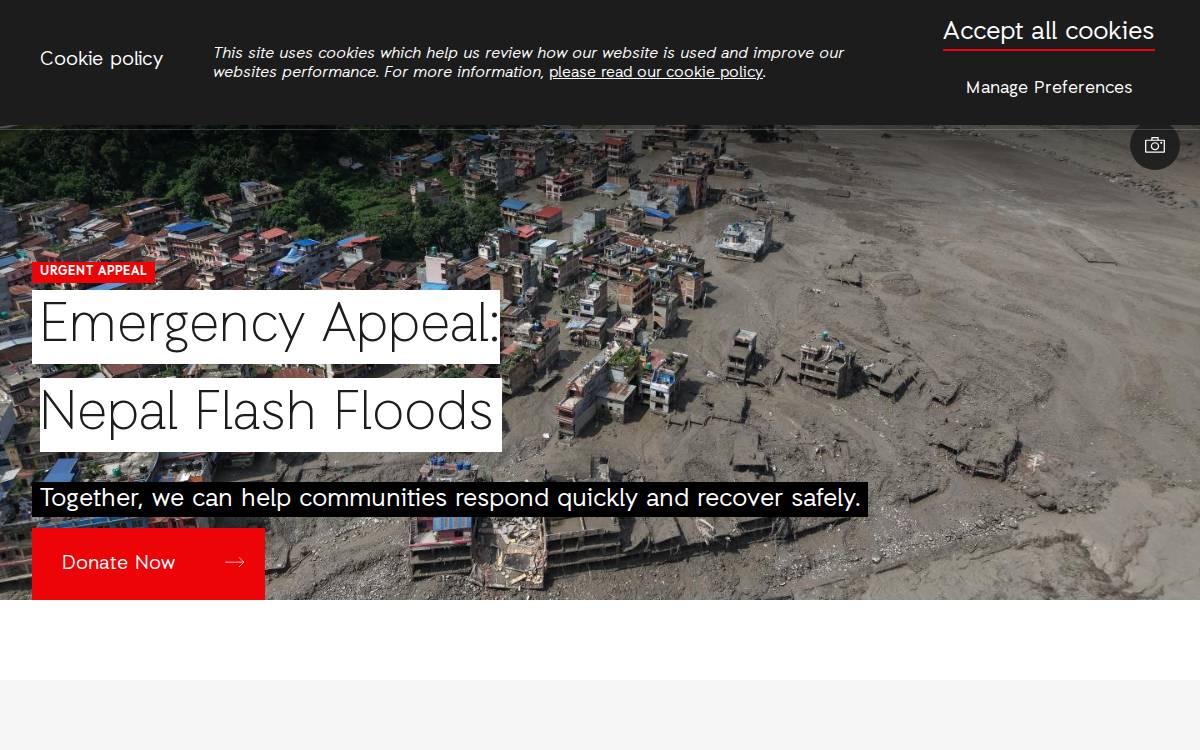 Actionaid website preview