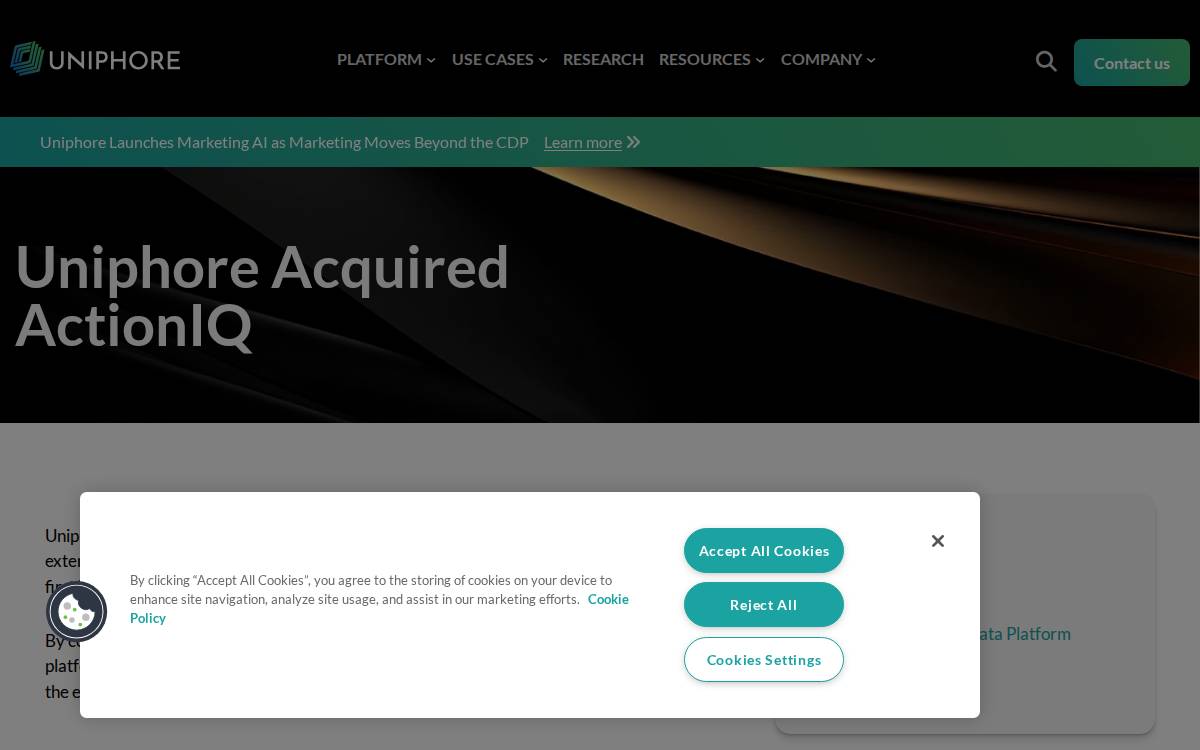 ActionIQ website preview