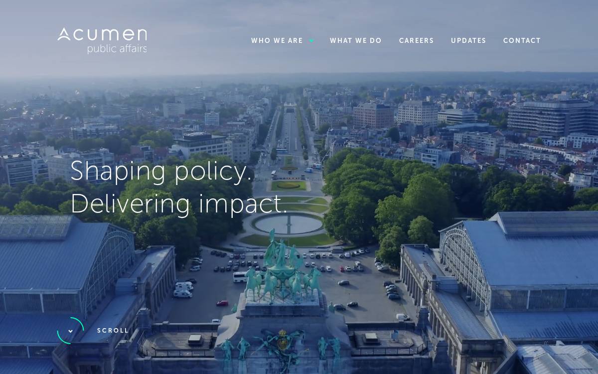 Acumen Public Affairs website preview