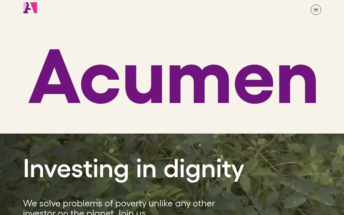 Acumen website preview