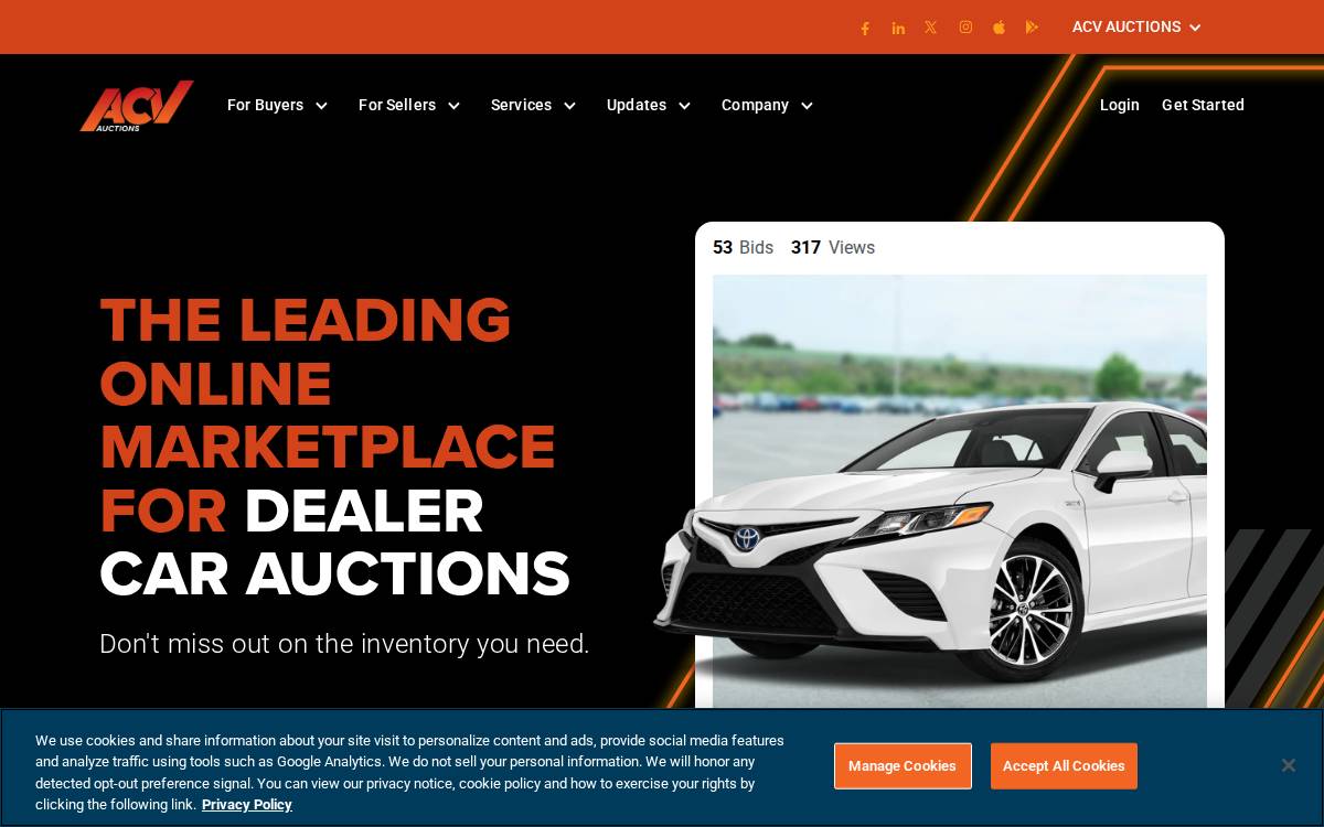 ACV website preview