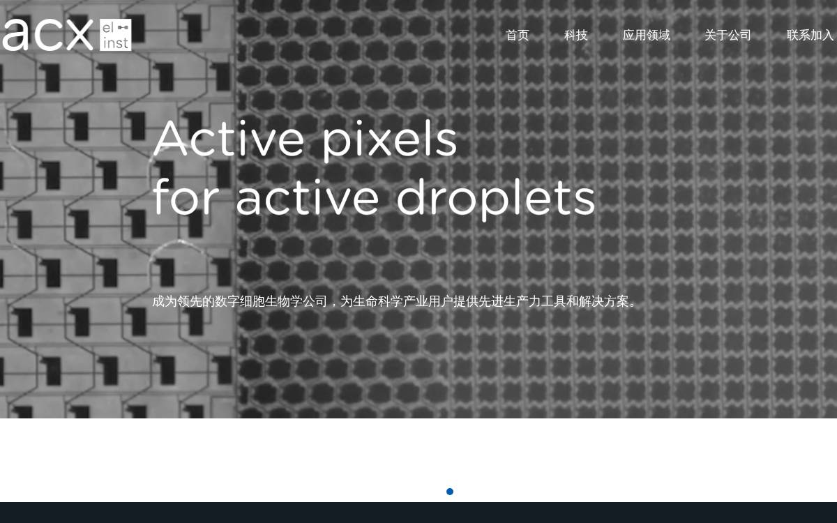 Acxel website preview