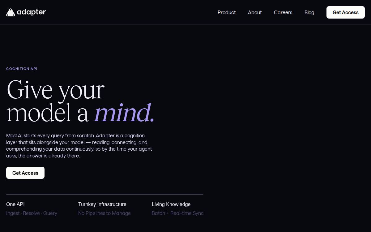 Adapter Group website preview