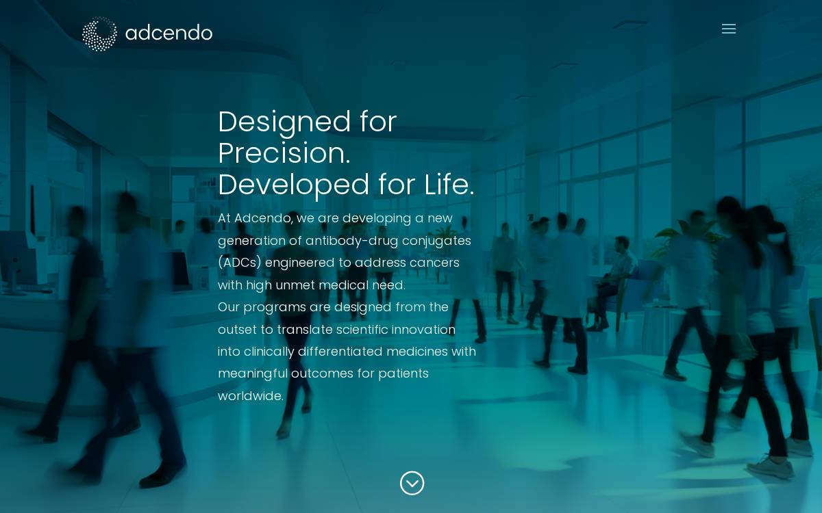 Adcendo ApS website preview