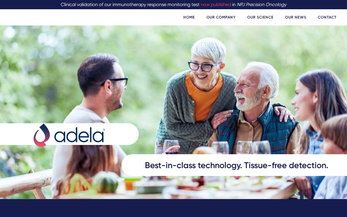 Adelabio website preview