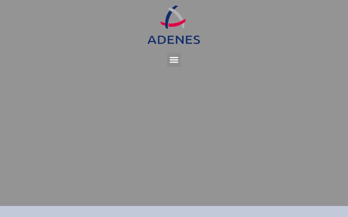 Adenes website preview