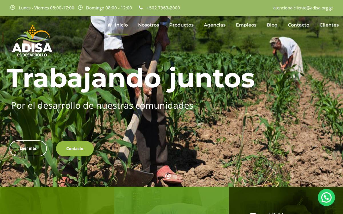 ADISA website preview