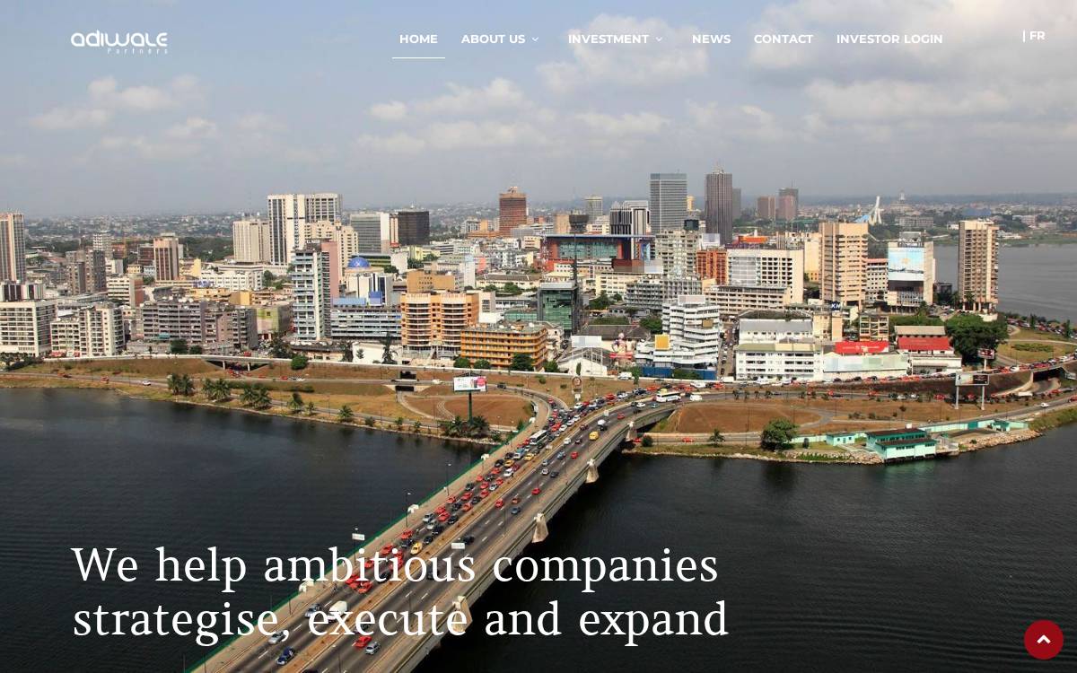 Adiwale website preview