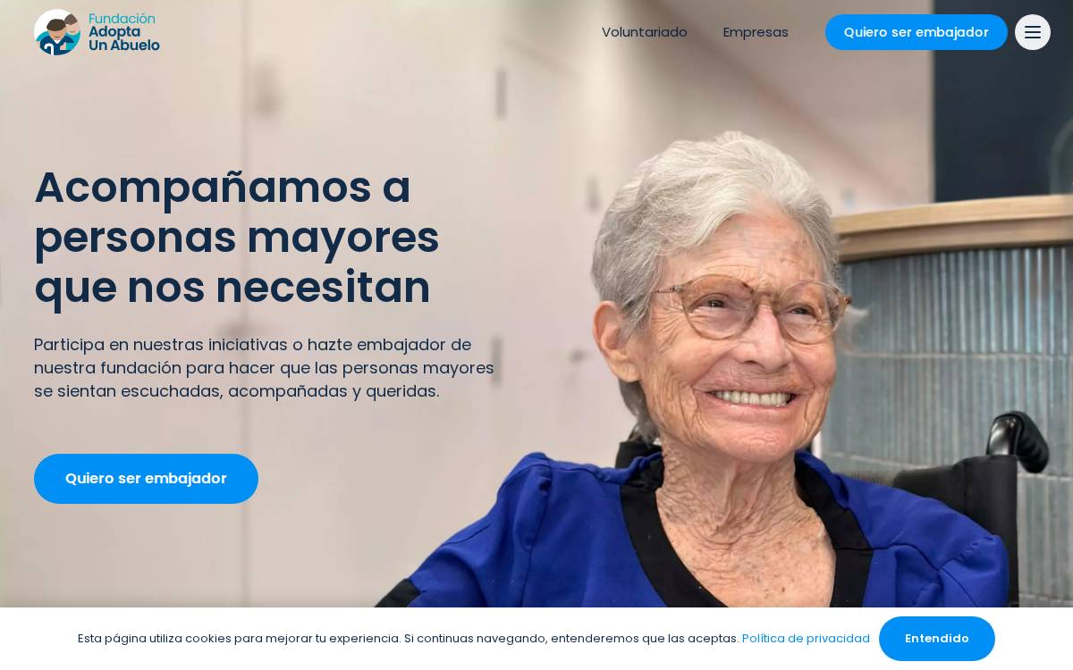 Adopta un Abuelo website preview