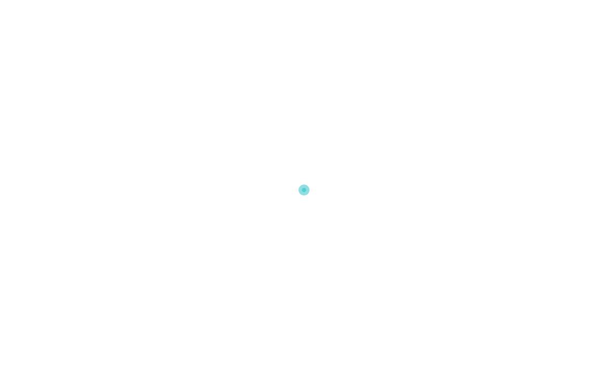 Adrsupport website preview
