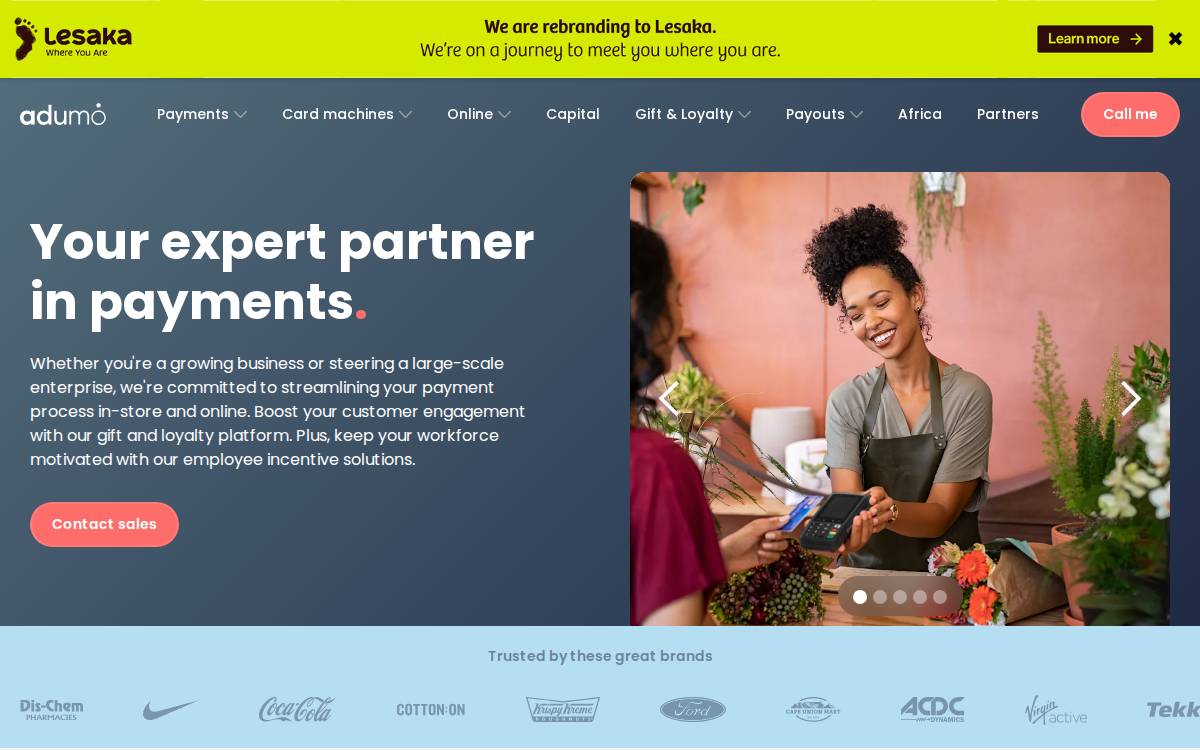 adumo website preview