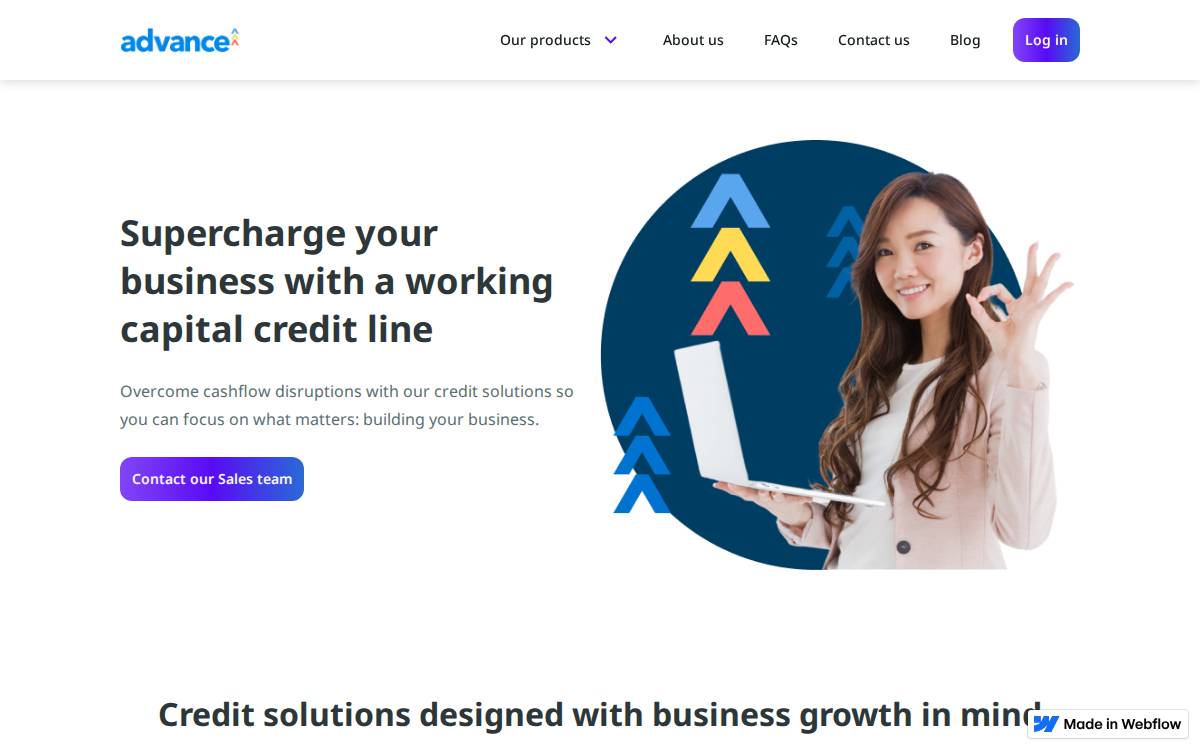 Advance website preview