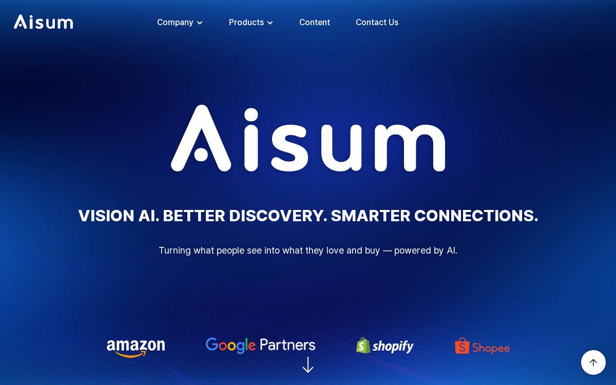 AEDI website preview