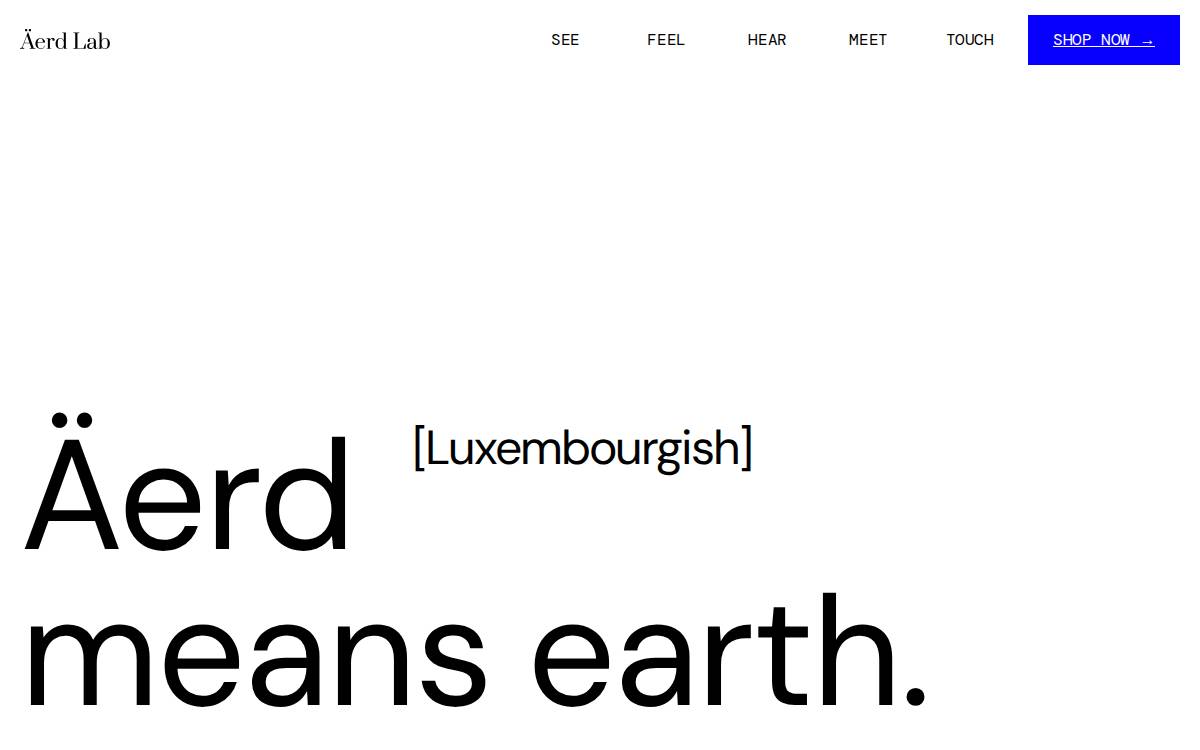 Aerdlab website preview