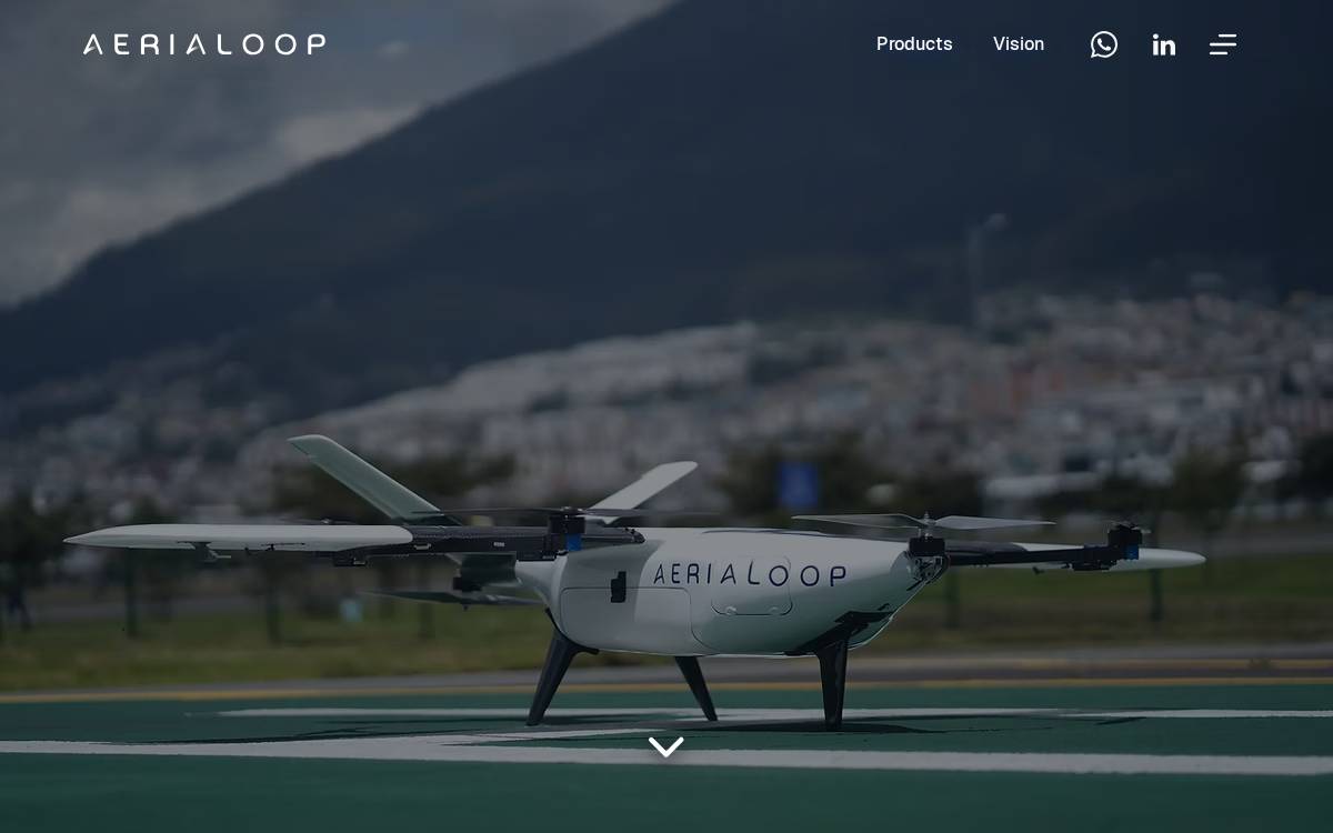 Aerialoop website preview