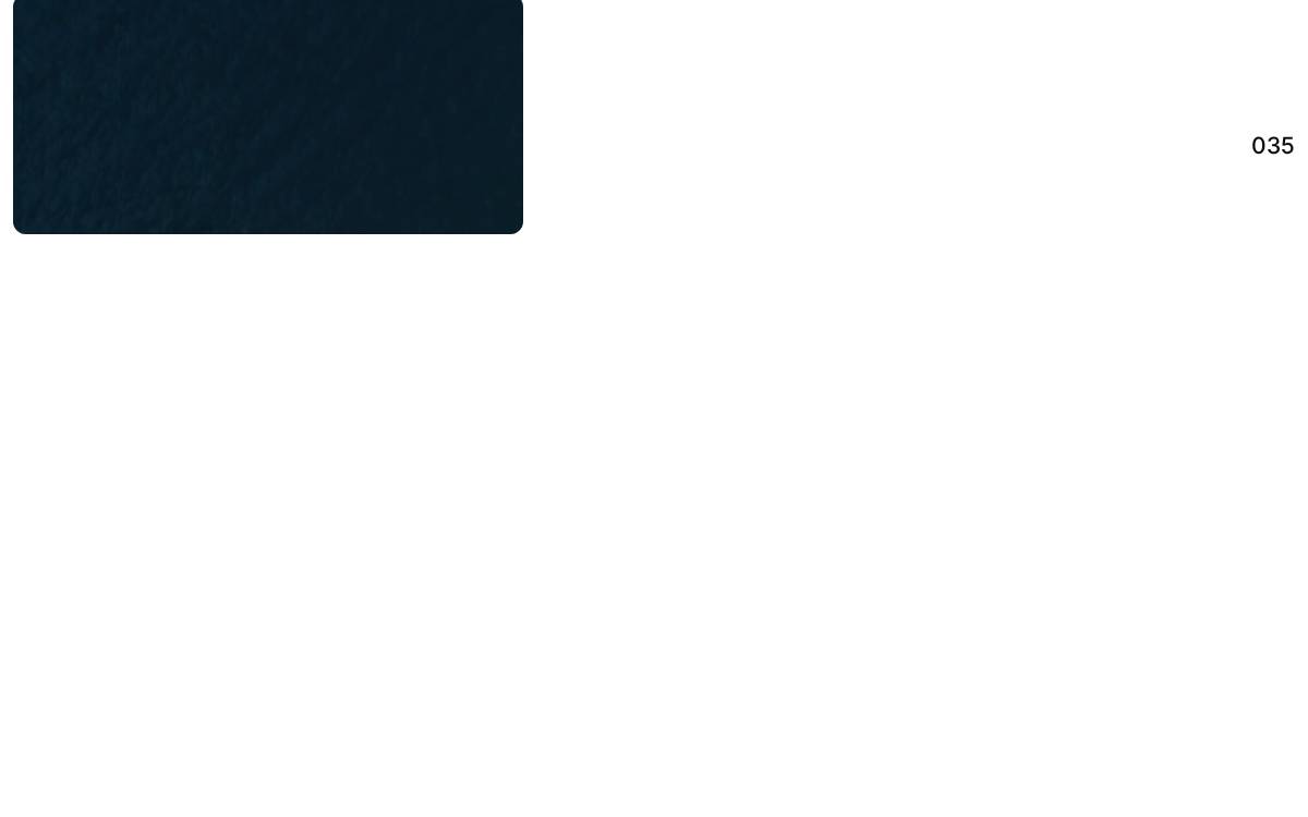 Aerleum website preview