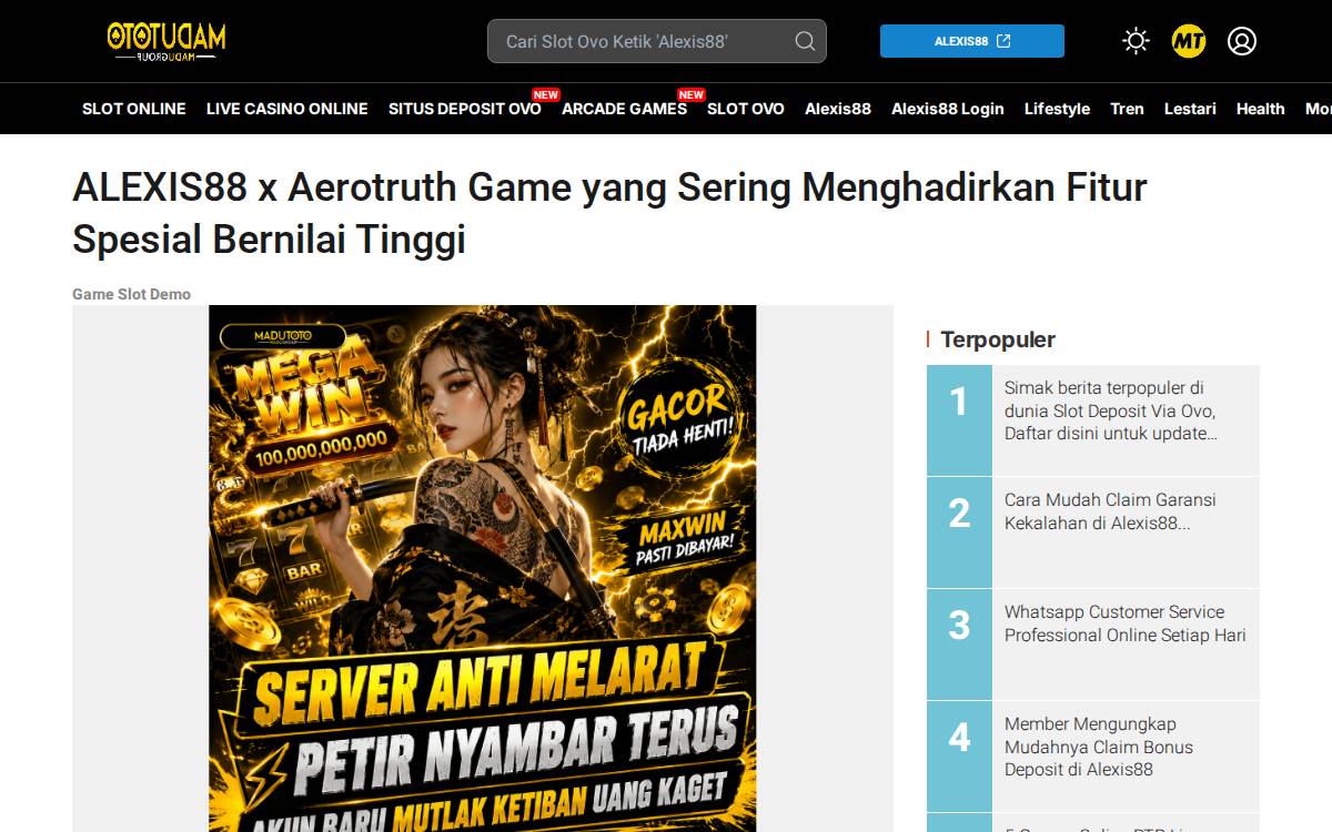Aerotruth website preview