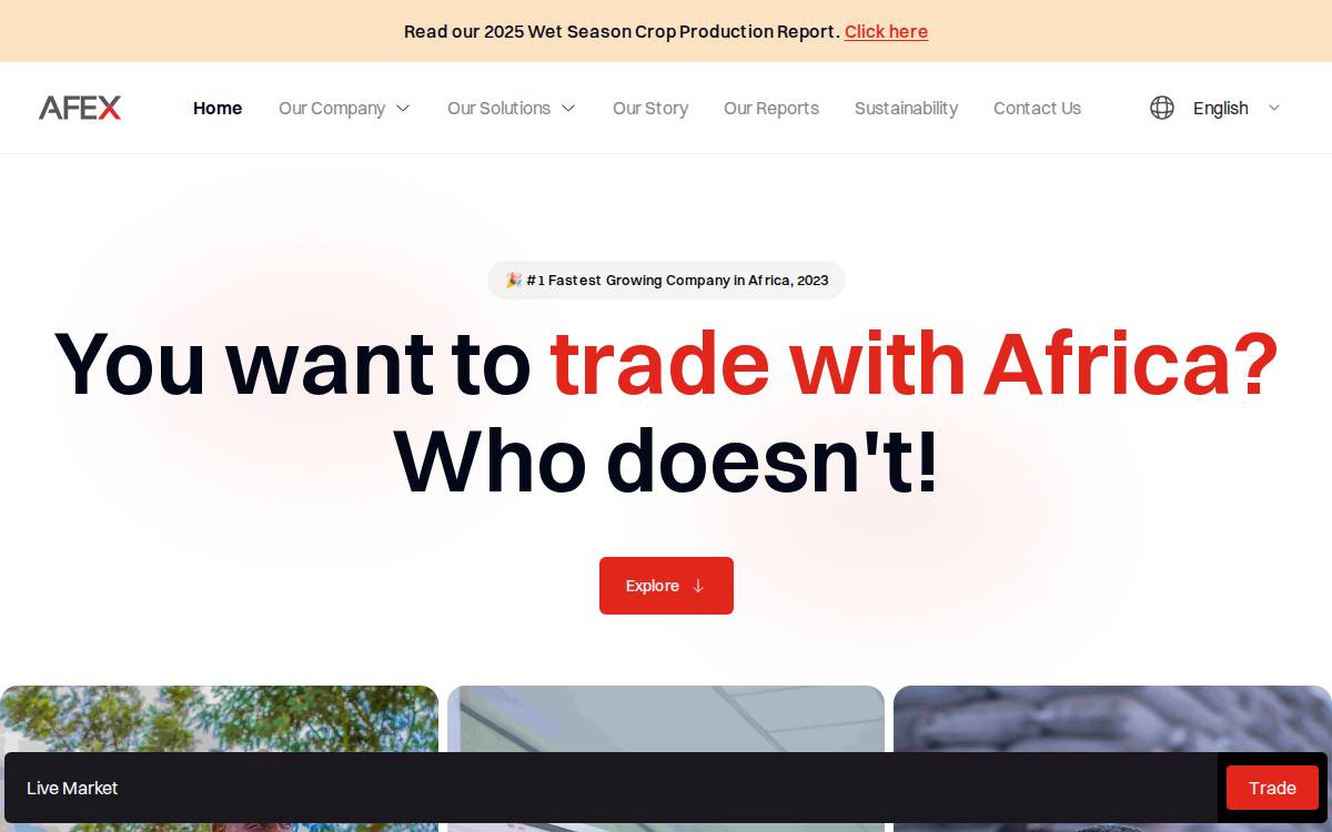 Afex website preview