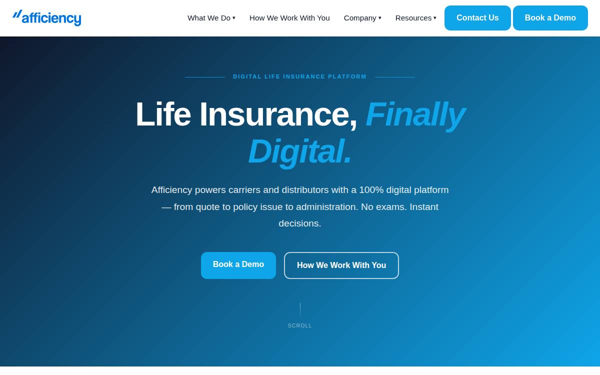 Afficiency website preview