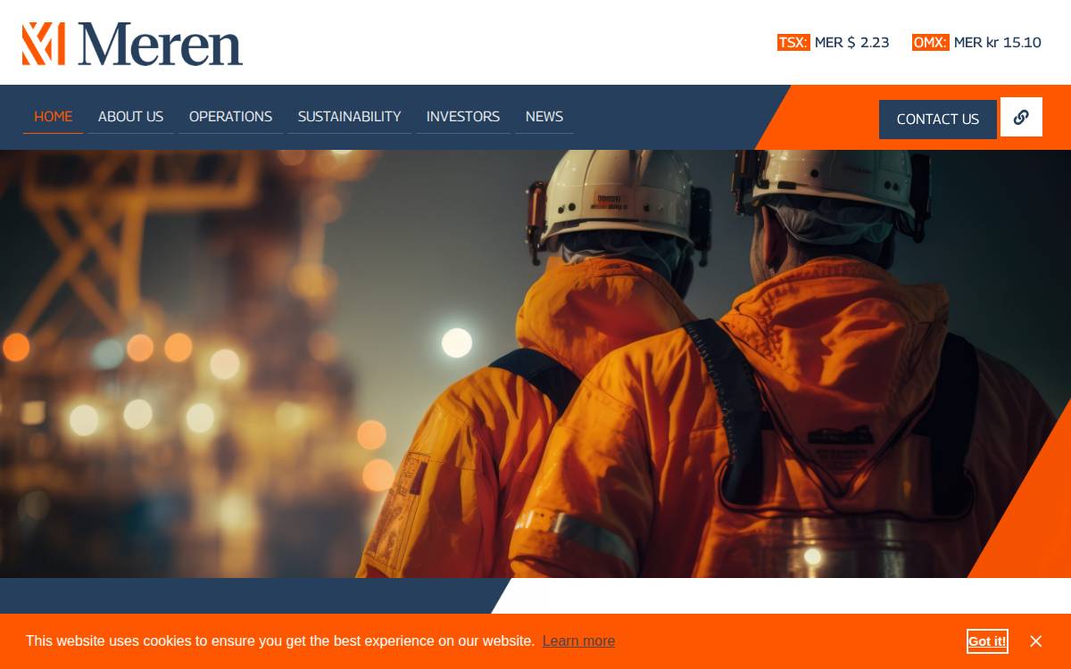 Africa Oil website preview