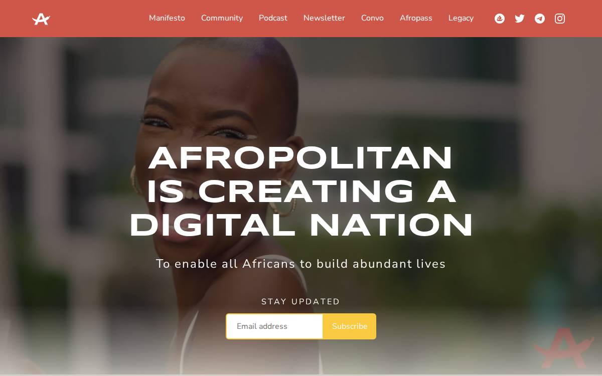 Afropolitan Group website preview