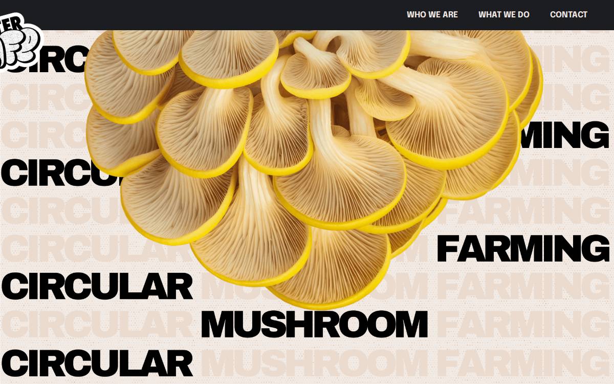 Afterlifemushrooms website preview