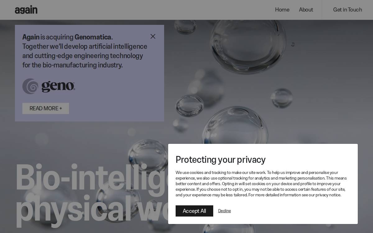 Again website preview