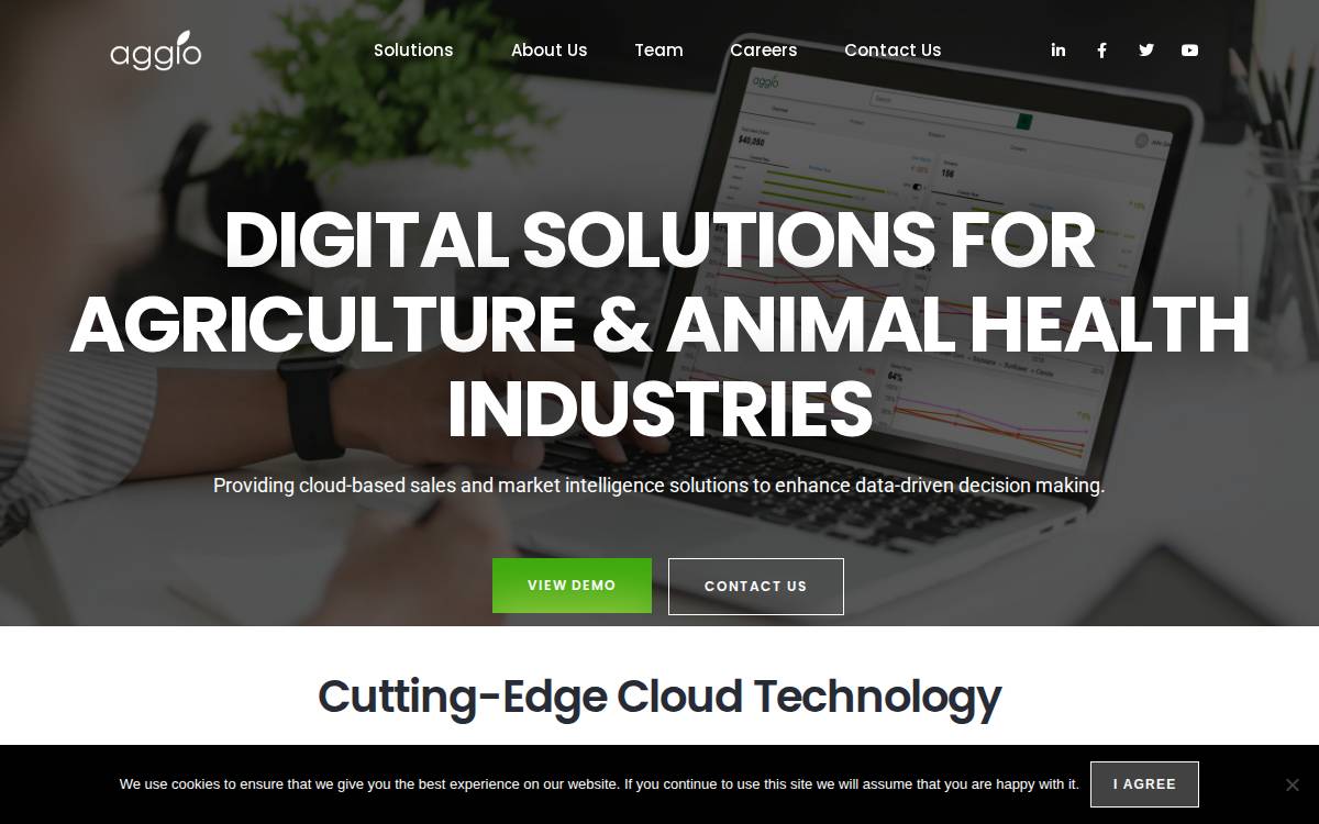 Aggio website preview