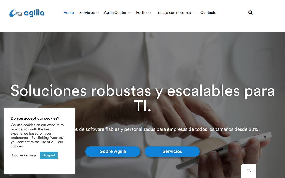 Agilia Center website preview