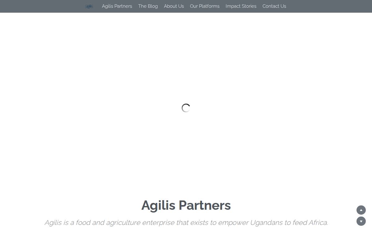 Agilis Partners website preview