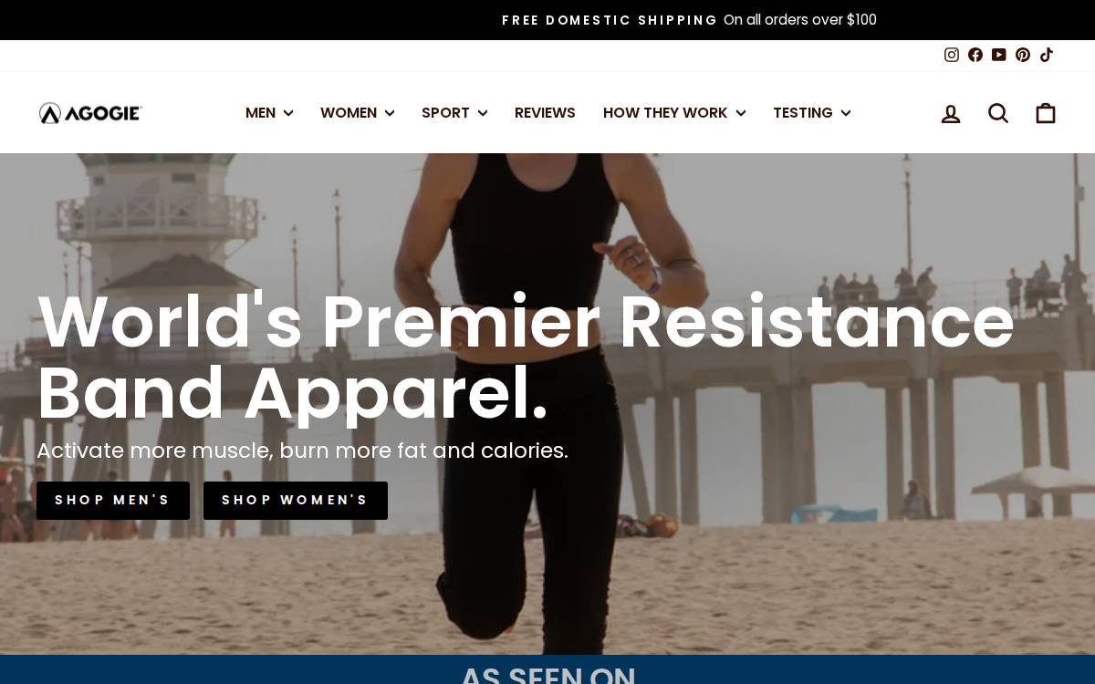 Agogie website preview