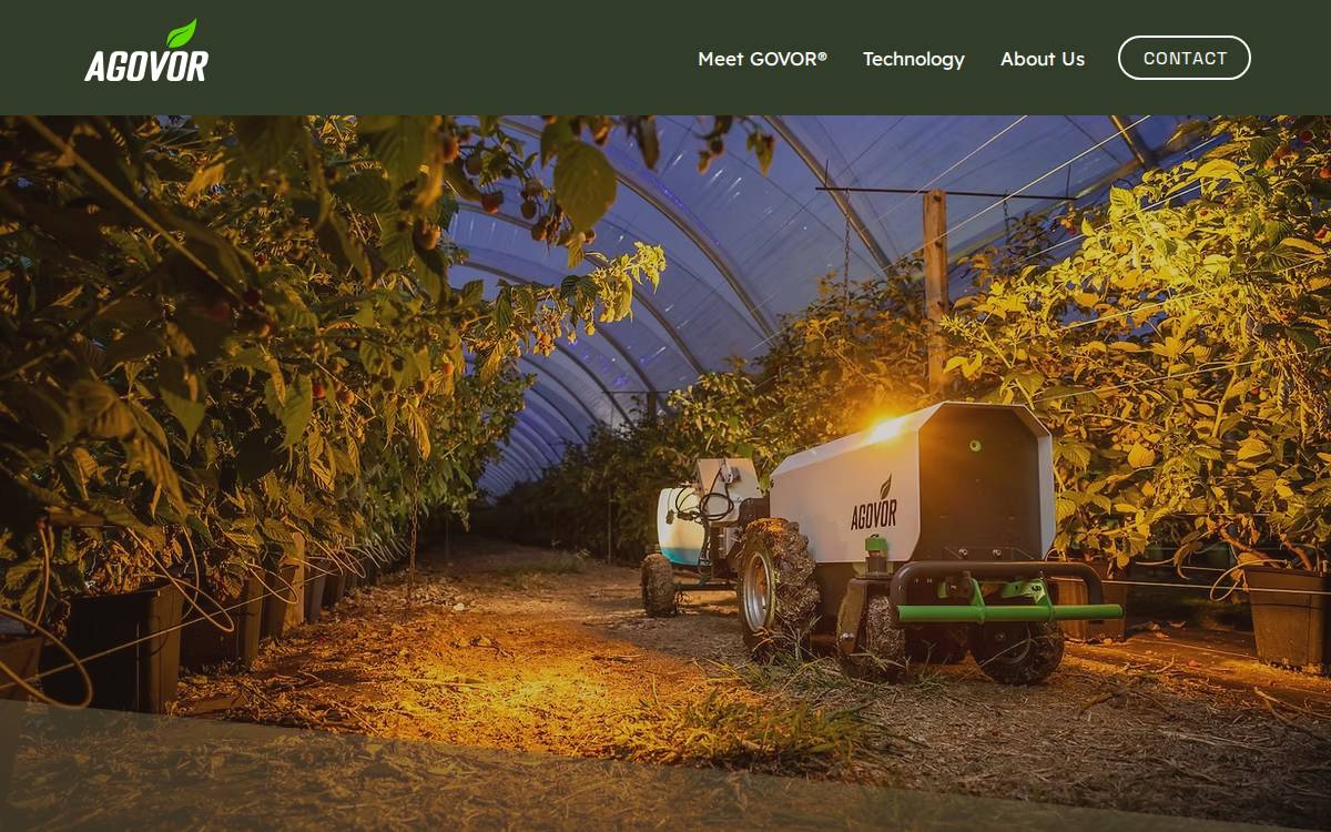 Agovor website preview