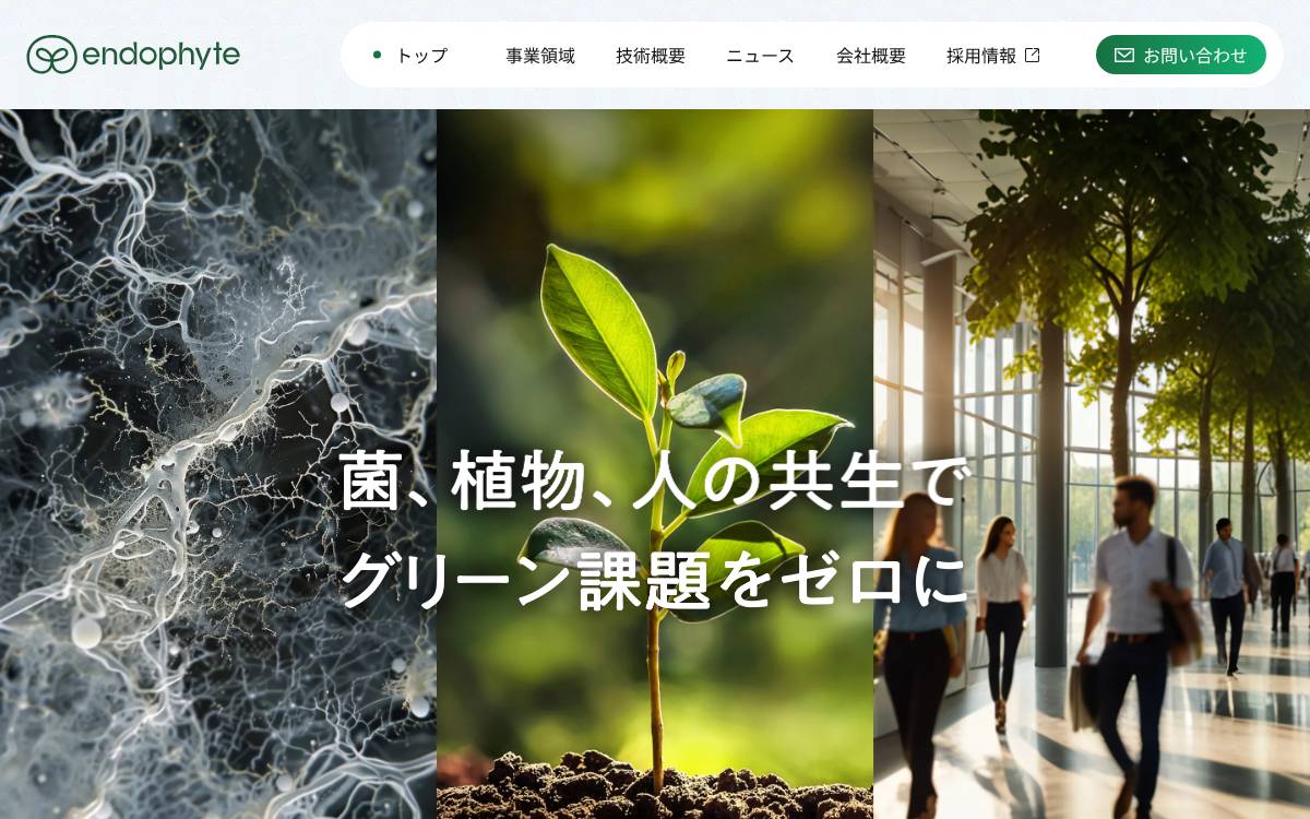 エンドファイト website preview